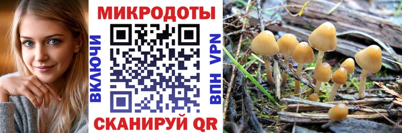 Галлюциногенные грибы Psilocybe  Озёрск 